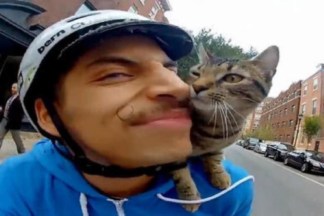 Diese Katze fährt Fahrrad