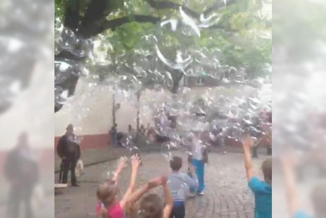 Wunderschön: Seifenblasen auf dem Rathausplatz