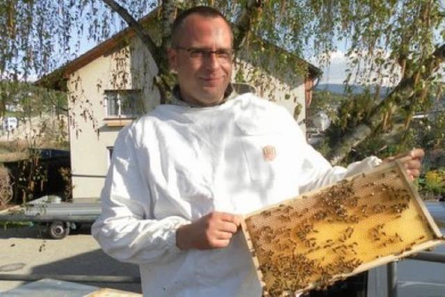 Urban Beekeeping: Freiburger Imker verkauft Honig aus der Innenstadt