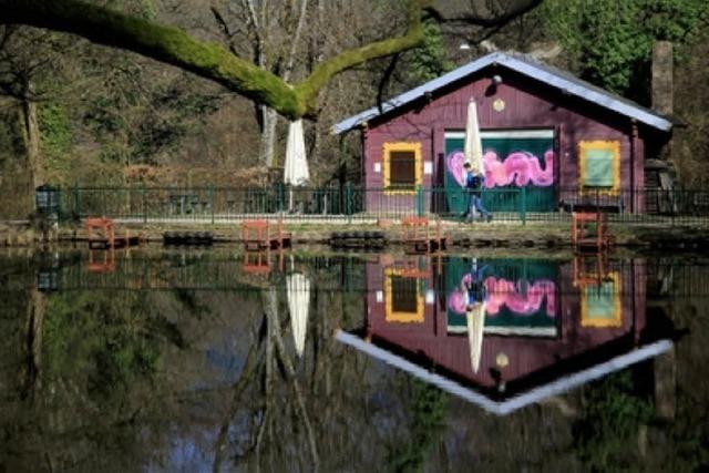 Das Huschen am Waldsee