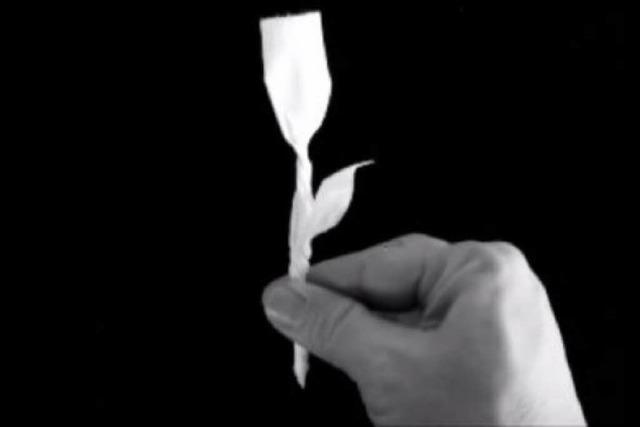 Video: So faltet man aus Klopapier eine Rose