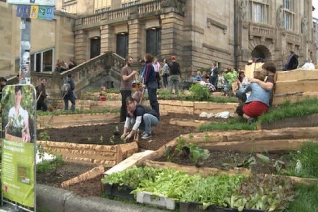 uni.tv: Stadtsalat und Parkspinat