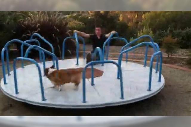 Video: Dieser Hund liebt das Spielplatz-Karussell