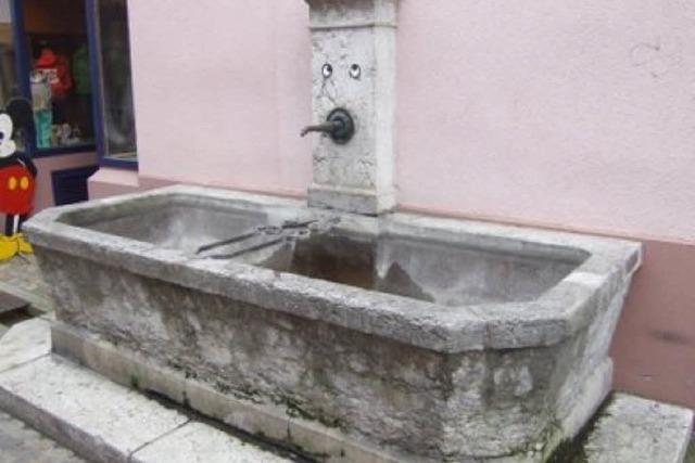 Freiburger Brunnen knnen jetzt sehen