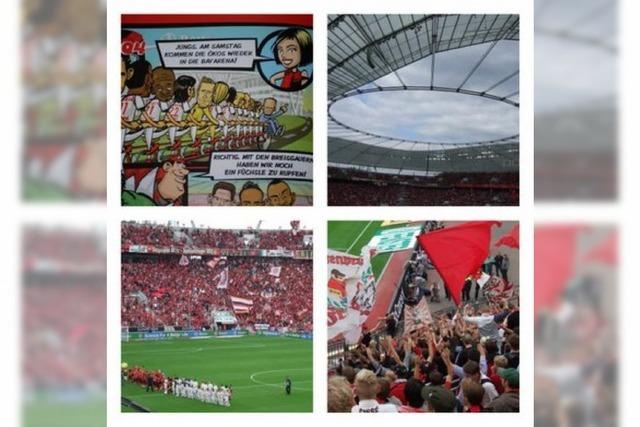 Rapport aus Leverkusen: Bayer 04 vs. SC Freiburg