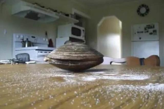 Video: Die Muschel und das Salz