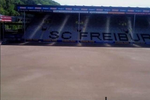 Kickt der SC Freiburg knftig auf einem Hartplatz?