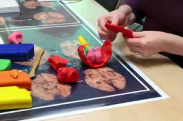 Video: So formt man ein Gehirn aus Knete