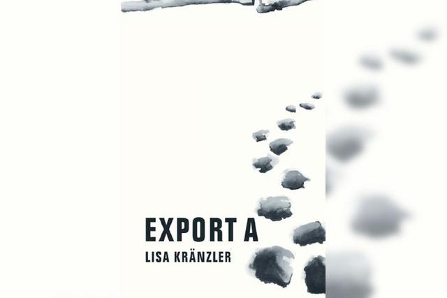 Ein Mdchen, das nicht anders kann: Lisa Krnzlers Roman 'Export A'