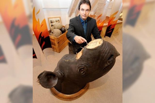 Merkwrdige Eigentumsdelikte: Nashorn-Hrner in Offenburger Museum geklaut