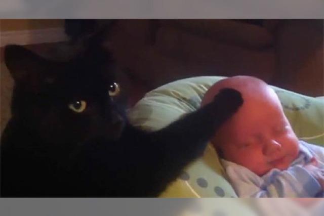Video: Katze beruhigt weinendes Baby