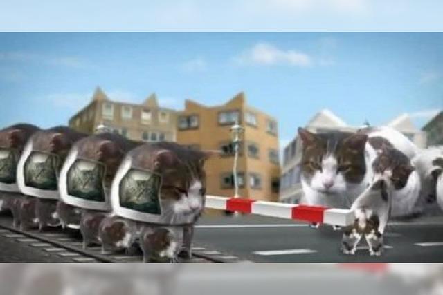 Video: Katzenmutation