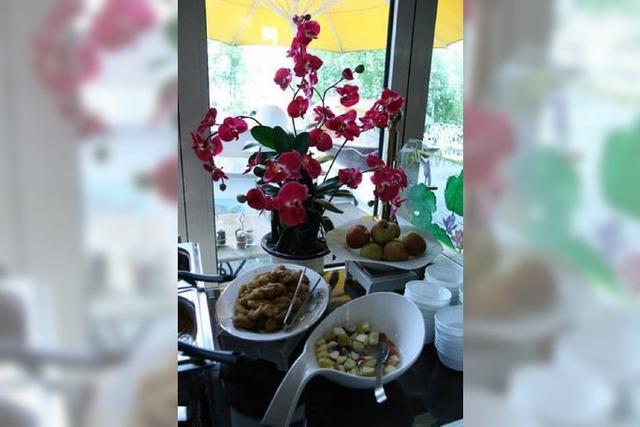 All you can eat-Test: Asiatisches Essen bei Bat Dat in der Sundgauallee