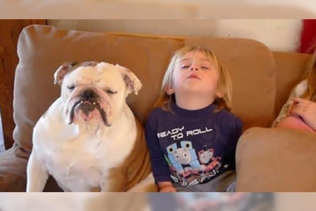 Video: Ein sehr mder kleiner Junge und seine sehr mde Bulldogge