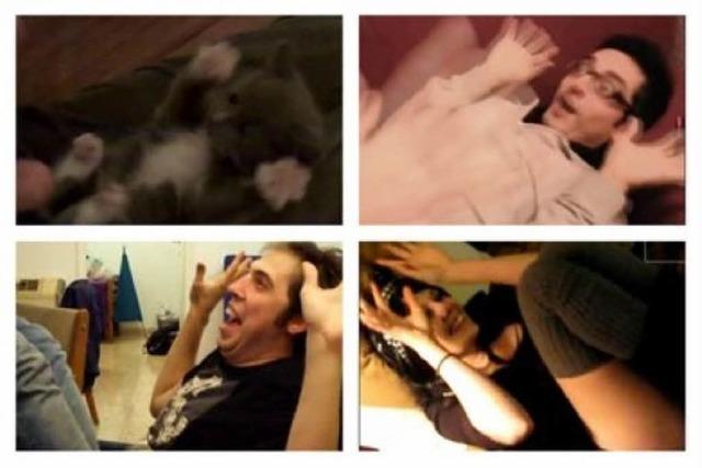 YouTube-Meme: Eine Horde überraschter Kätzchen