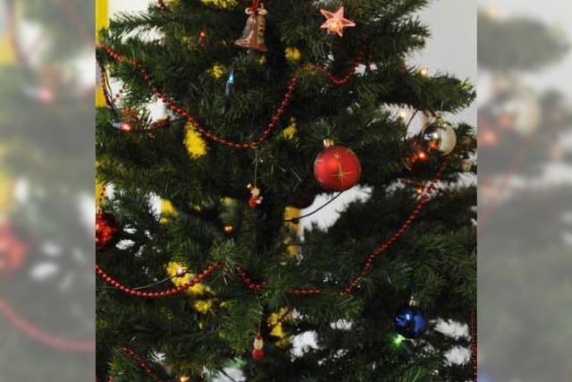 Zeigt her Euren Weihnachtsbaum!