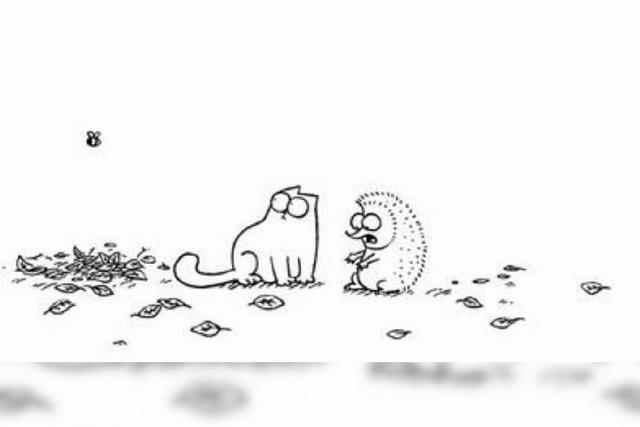 Simon's Cat spielt mit einem Igel