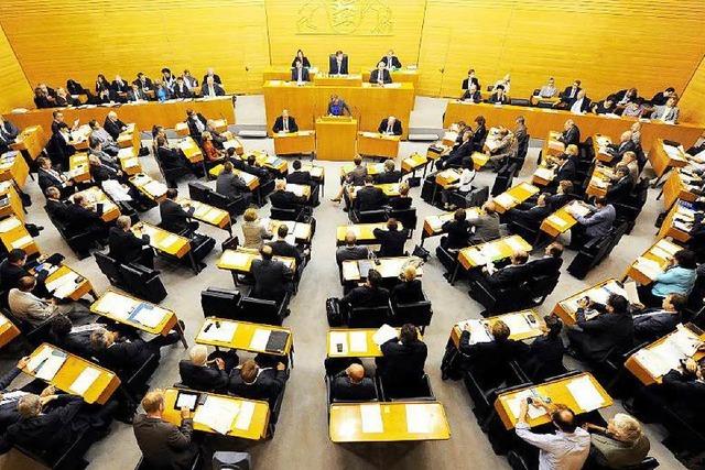 Neuer Landtag: AfD soll keinen Vize-Posten bekommen