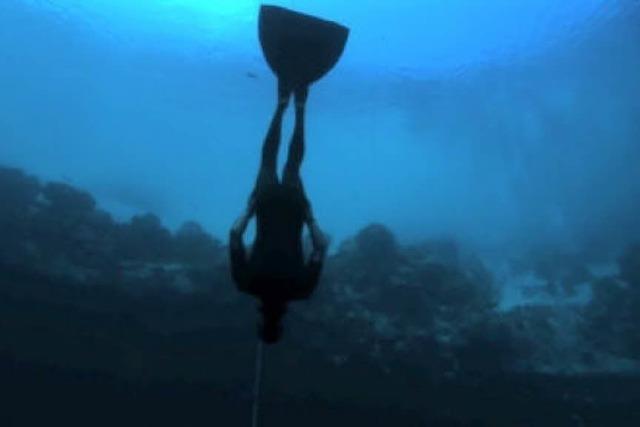 Video: 305 Meter tief tauchen, mit nur einem Atemzug