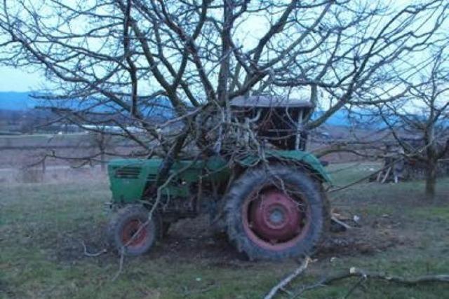 March: Jugendliche fahren geklauten Traktor gegen Apfelbaum