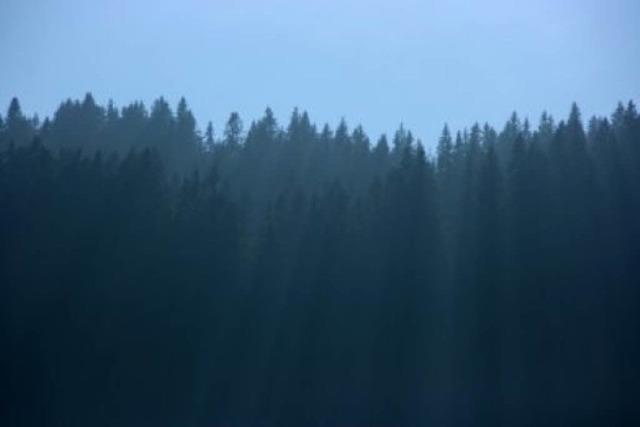 Ist der Schwarzwald ein Naturweltwunder?