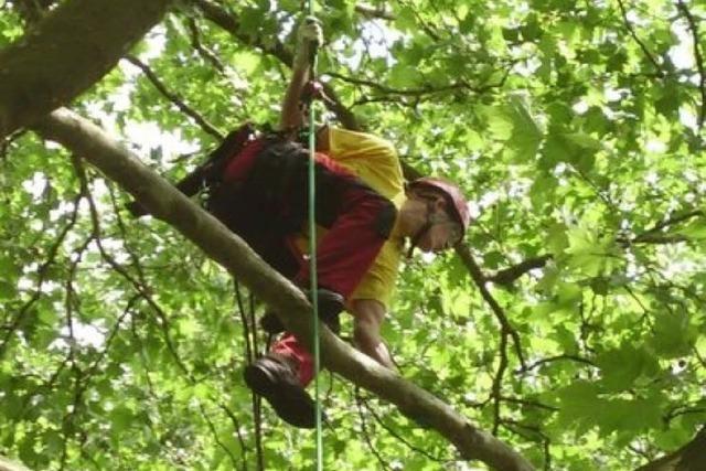 Die Wipfelstrmer: Baumpfleger klettern um die Wette
