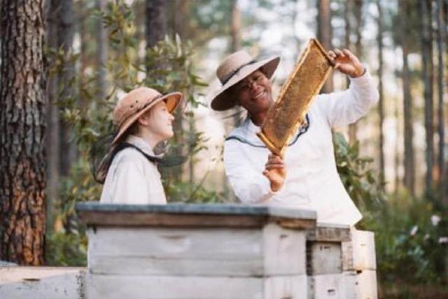 Film der Woche: Die Bienenhterin