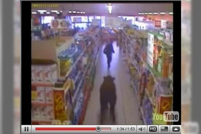 Video: Ein Ochse im Supermarkt
