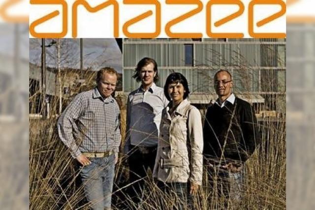 Das deutsche Web 2.0 (9): Amazee.com