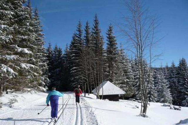 Langlauf im Schwarzwald: die besten Loipen