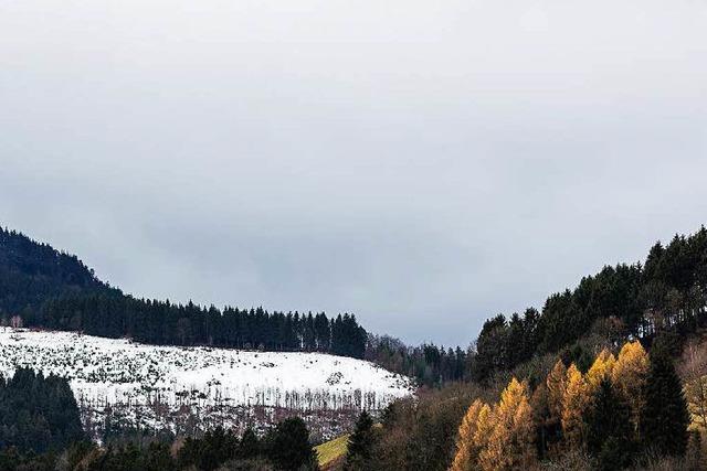 Wochenende: Mit der Schauinslandbahn in den Schnee?