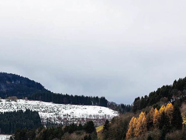 Am Wochenende sinkt die Schneefallgrenze wieder.  | Foto: Carlotta Huber