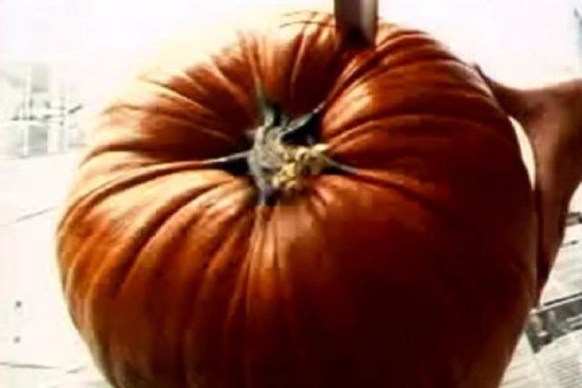 Wochenend-Kurzfilm (82): The Life and Death of a Pumpkin