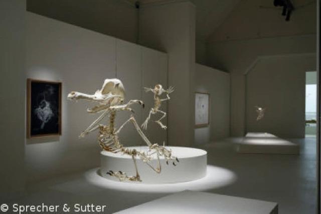 Animatus-Ausstellung in Basel