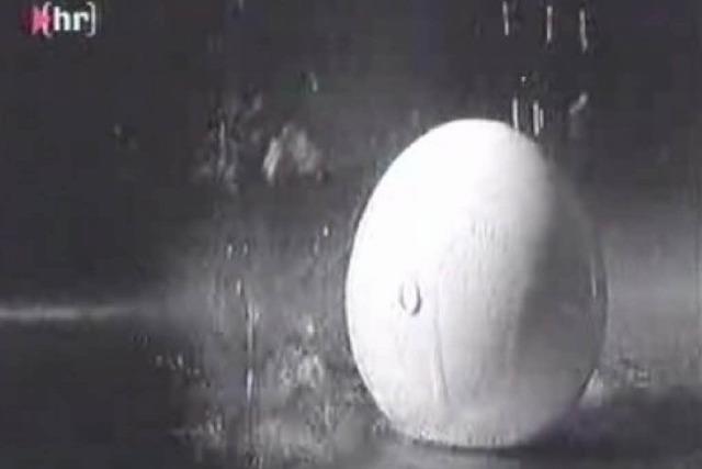 Wochenend-Kurzfilm (65): Das Ei