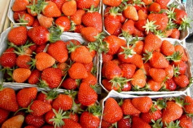 Die besten Erdbeeren der Stadt