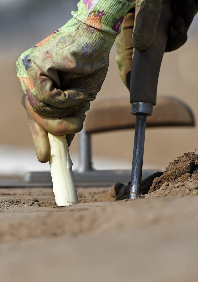 Ob Landwirt Peter Rauer auch in den n...rt sich auf seine anderen Standbeine.   | Foto: dpa