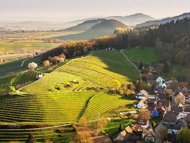 Der Muggardter Berg mit dem Rebhsle aus der Perspektive einer Foto-Drohne.  | Foto: Christian Dorner