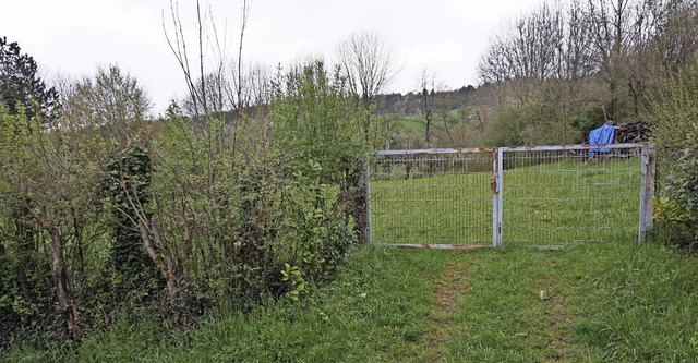 Hinter diesem Tor liegt eine umstrittene Gaisbhl-Wiese.   | Foto: Steckmeister