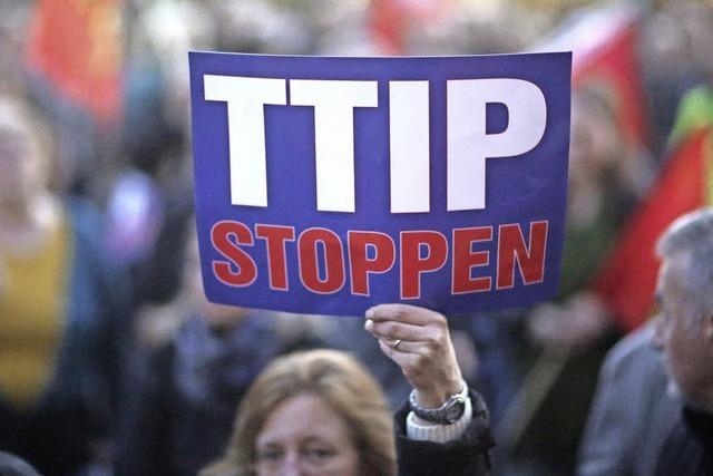 TTIP light: Specken EU und USA den Handelspakt ab?