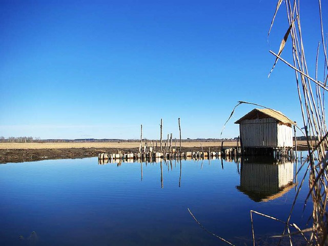 Rekonstruiert: die Pfahlbauten am Bodensee. Die Originalpfhle unter Wasser  | Foto:  Federseemuseum Bad Buchau