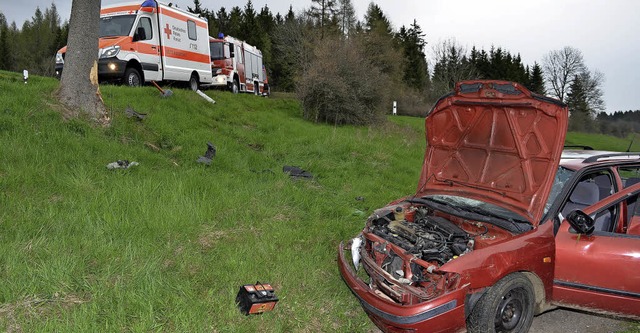 Ende einer Diebstahltour nach wenigen hundert Metern   | Foto: Kamera 24