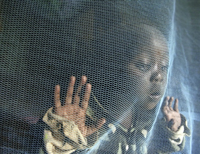 Moskitonetze sind ein wirksames Mittel gegen die Malaria   | Foto: dpa