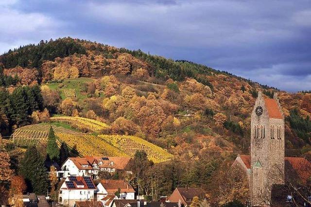 Auf dem Ortenauer Weinpfad von Sasbachwalden nach Bühlertal