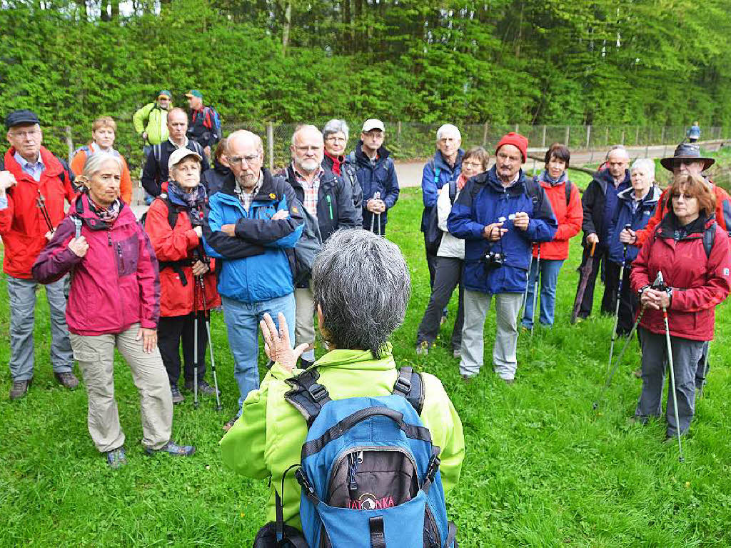 Mal ber Stock und Stein, mal in der Stadt oder aber auch hoch droben am und im Schloss Brgeln waren die BZ-Wanderer bei der Auftaktveranstaltung unterwegs. 30 wackere Wandersleut’ trotzten Wind, Regen und Nebel, und erlebten einiges.