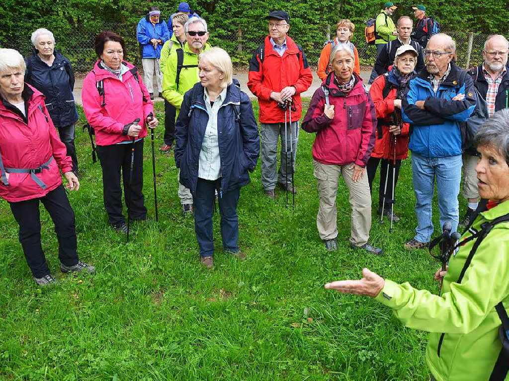 Mal ber Stock und Stein, mal in der Stadt oder aber auch hoch droben am und im Schloss Brgeln waren die BZ-Wanderer bei der Auftaktveranstaltung unterwegs. 30 wackere Wandersleut’ trotzten Wind, Regen und Nebel, und erlebten einiges.