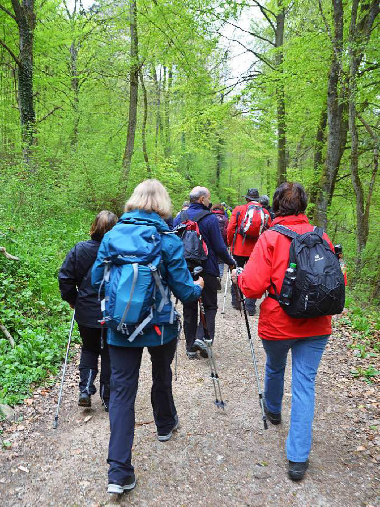 Mal ber Stock und Stein, mal in der Stadt oder aber auch hoch droben am und im Schloss Brgeln waren die BZ-Wanderer bei der Auftaktveranstaltung unterwegs. 30 wackere Wandersleut’ trotzten Wind, Regen und Nebel, und erlebten einiges.