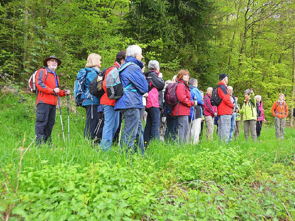 Mal ber Stock und Stein, mal in der Stadt oder aber auch hoch droben am und im Schloss Brgeln waren die BZ-Wanderer bei der Auftaktveranstaltung unterwegs. 30 wackere Wandersleut’ trotzten Wind, Regen und Nebel, und erlebten einiges.