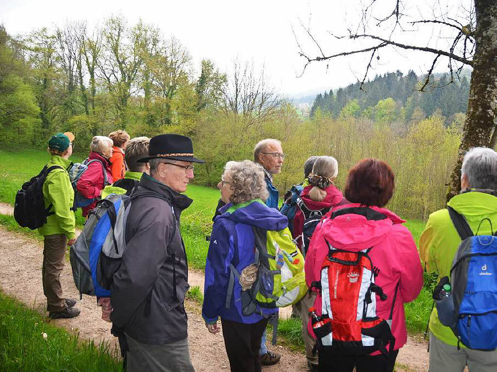 Mal ber Stock und Stein, mal in der Stadt oder aber auch hoch droben am und im Schloss Brgeln waren die BZ-Wanderer bei der Auftaktveranstaltung unterwegs. 30 wackere Wandersleut’ trotzten Wind, Regen und Nebel, und erlebten einiges.