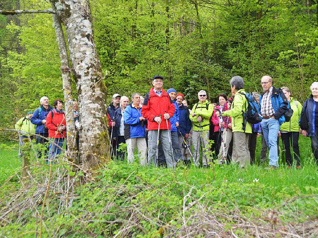 Mal ber Stock und Stein, mal in der Stadt oder aber auch hoch droben am und im Schloss Brgeln waren die BZ-Wanderer bei der Auftaktveranstaltung unterwegs. 30 wackere Wandersleut’ trotzten Wind, Regen und Nebel, und erlebten einiges.